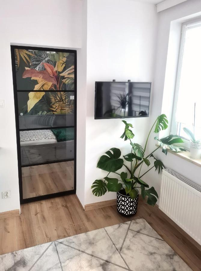 Apartament Sosnowa Пулави Екстер'єр фото